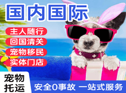 大连航空货运国际宠物托运 【国